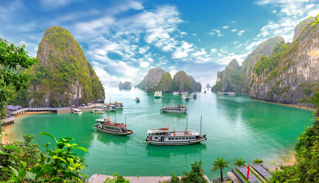Oceania Tours